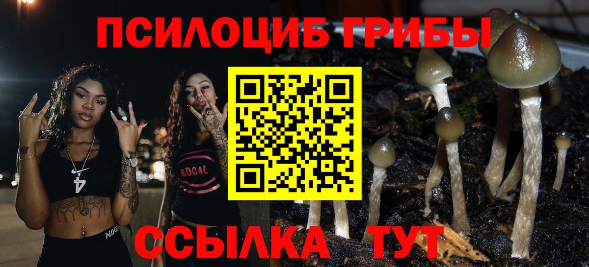 Галлюциногенные грибы Psilocybine cubensis Чусовой