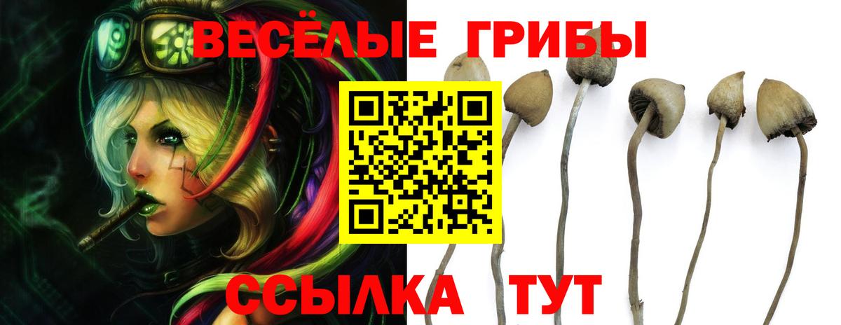 Псилоцибиновые грибы Magic Shrooms  Вход с VPN  купить  сайты  Чусовой 